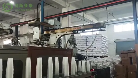 Biodegradable Disposable Transparent PLA 500/700 Ml Takeaway Beverage Milk Tea Juice Cup